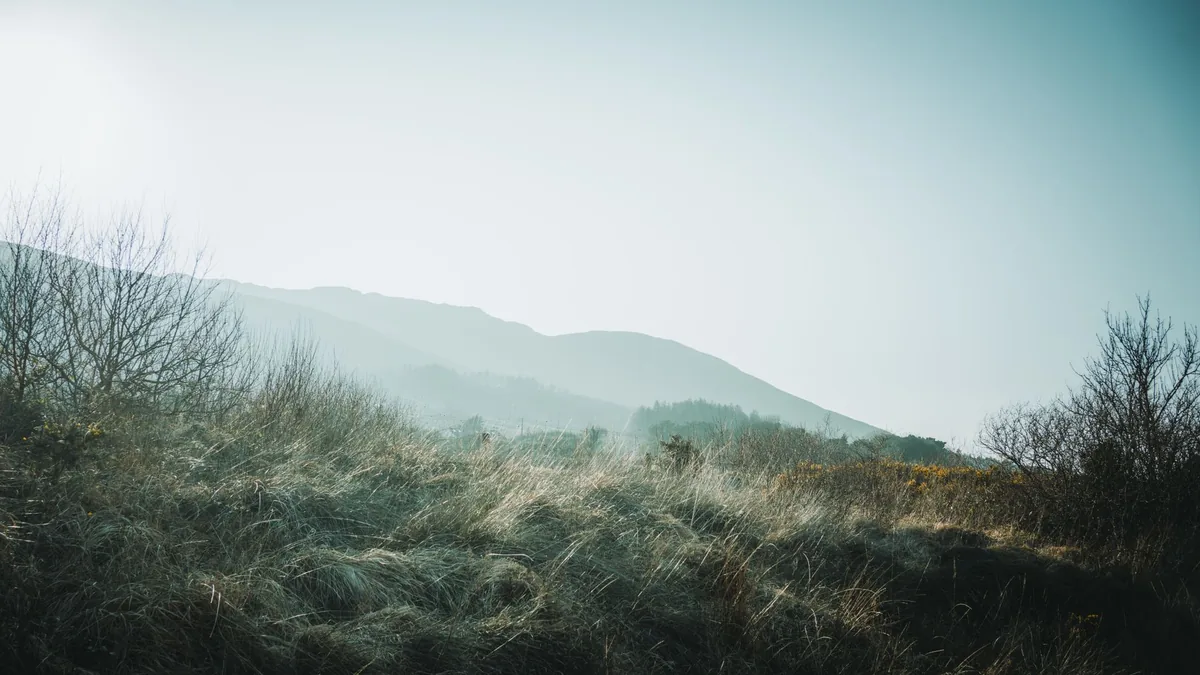A serene morning view of the misty Irish countryside with fields and distant mountains.